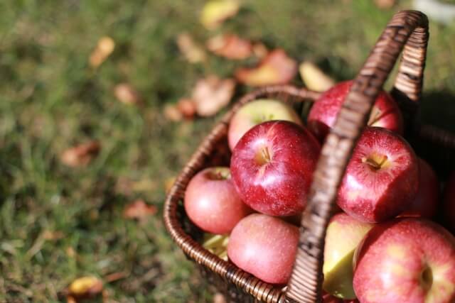 企業と農、地域でつながる “アグリワーケーション”  りんご編＠長野県駒ケ根市