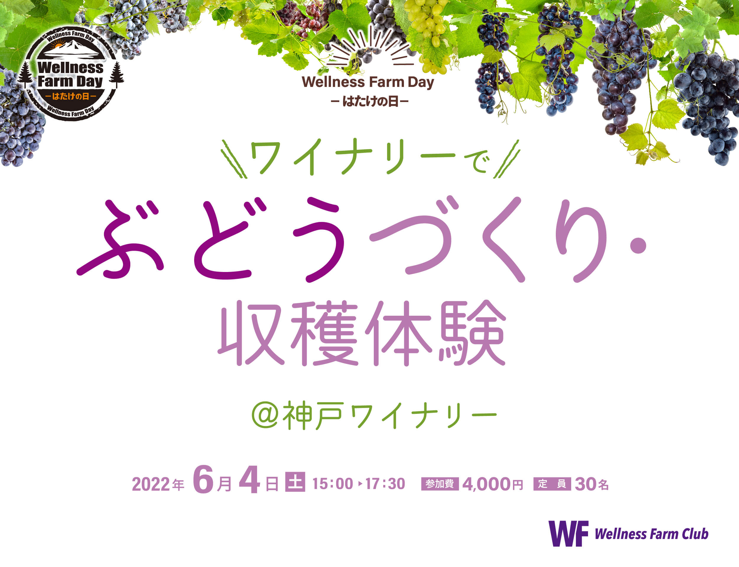 6月4日【Wellness Farm day】-はたけの日-ワイナリーでぶどうづくり・収穫体験 @神戸ワイナリー
